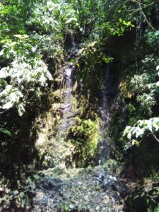 IMG_20180224_112928