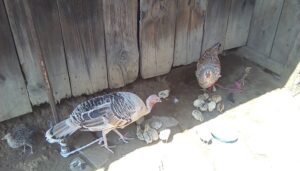 IMG_20180224_132017